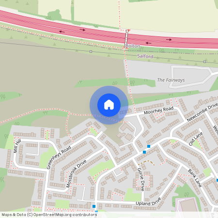 Birdie Lane, Little Hulton, M38