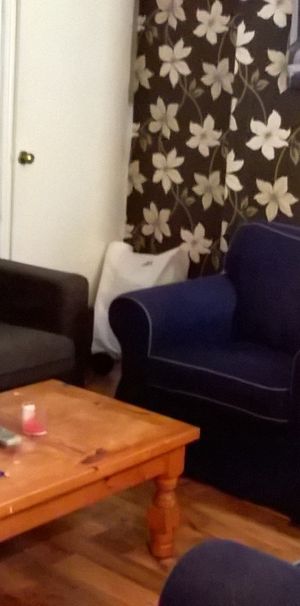 COSY HOUSE SHARE RIGHT BY CITY CENTRE/ASDA/ALL MALES - Photo 2