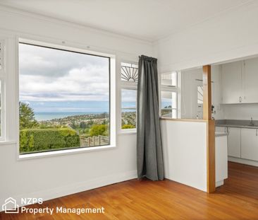 111 Mornington Road, Kenmure - Photo 3