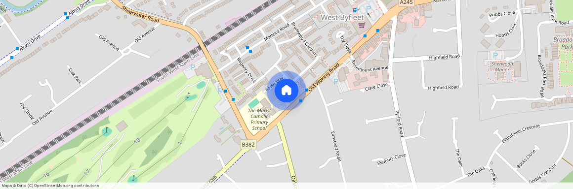 Old Woking Road West Byfleet KT14, West Byfleet, KT14