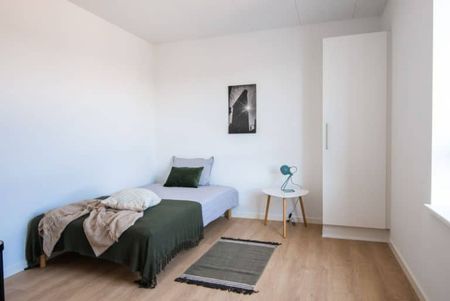 Faunastien 29 - Photo 5
