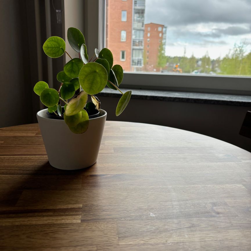 Porfyrvägen, Umeå - Photo 1