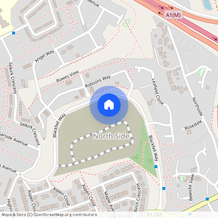 Elm Rise, Birtley, DH3