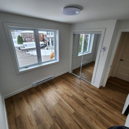 5 1/2 à Laval, rénové avec cours - Photo 3