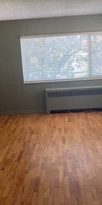 1 Bedroom Apartment on Fort Street $1600.00 - Photo 3