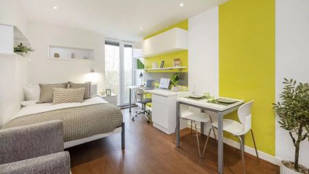 Standard Studio Gold Plus - Photo 2