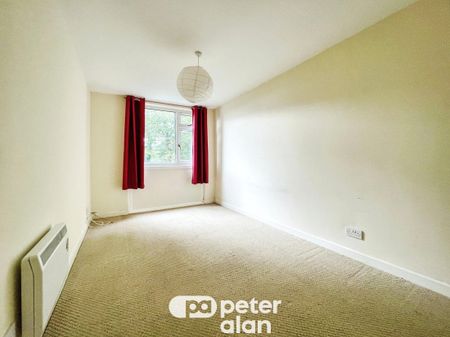 Llanishen Court, Llanishen - Photo 5