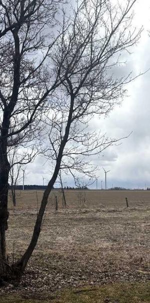 4 1/2 à louer à Yamaska - Photo 1