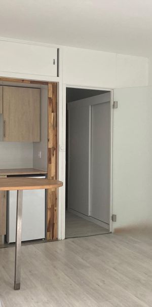 NANCY PROCHE FACS DES LETTRES ET DE DROIT STUDIO DE 22 M2 - Photo 1