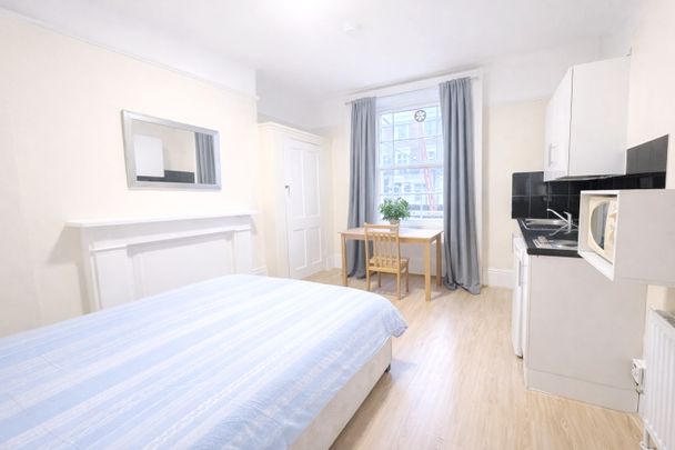 Sunny Double Studio with Built-In Wardrobe - Photo 1