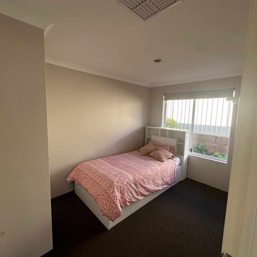 Seville Grove - Photo 1