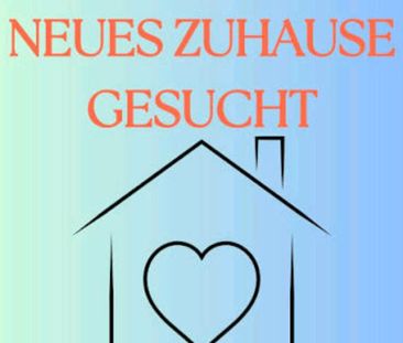 Dringend tierliebe Vermieter gesucht - Foto 1