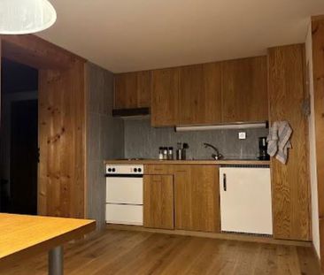 Heimelige Holzwohnung mit Holzofen, Loipe direkt vor dem Haus - Photo 5