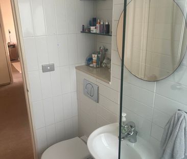 Elizabeth Bay - Photo 4