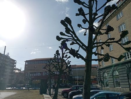 Kapellgatan, Göteborg - Foto 4