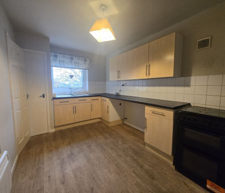 The Beeches - Photo 3