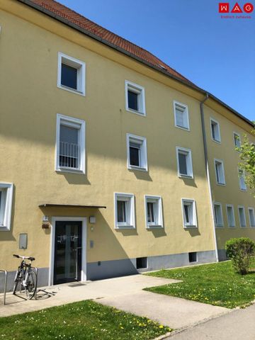 Wohnen mit garantiert bestem Preis-Leistungs-Verhältnis im wunderschönen Steyr-Münichholz! Hell und freundlich, von Grünflächen umgeben, erstklassige Infrastruktur vorhanden! - Foto 4