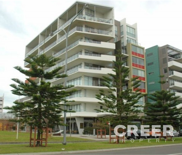 102/2 Honeysuckle Drive, Newcastle - Photo 2