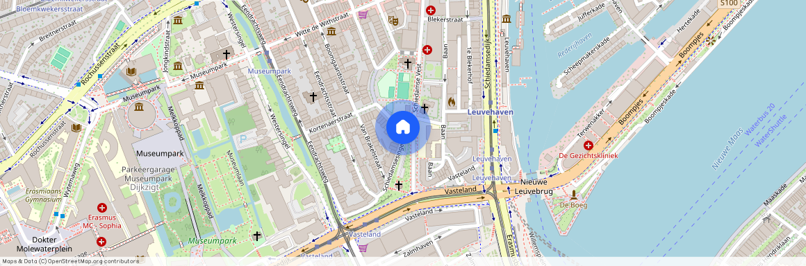 Schiedamsesingel, Rotterdam