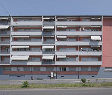 4 Zimmer, 86 m² - Photo 3