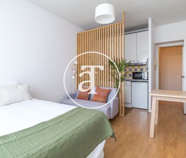 Penthouse for monthly rental with 1 bedroom and 1 bathroom in Recol... - Photo 1
