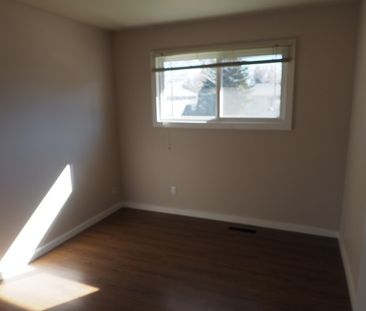 MAIN LEVEL UNIT WITH LARGE GARAGE AND FENCED YARD! AVAILABLE NOVEMBER - Photo 3