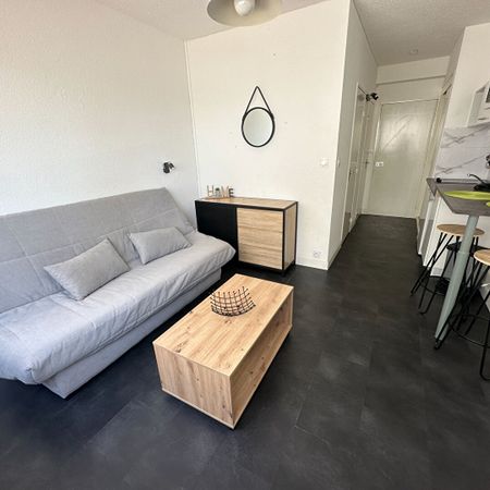 Location Appartement 1 pièce 20m² - Photo 3