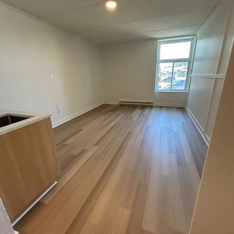 Studio - Saint-Charles-Borromée - $1,049 /mo - Photo 1