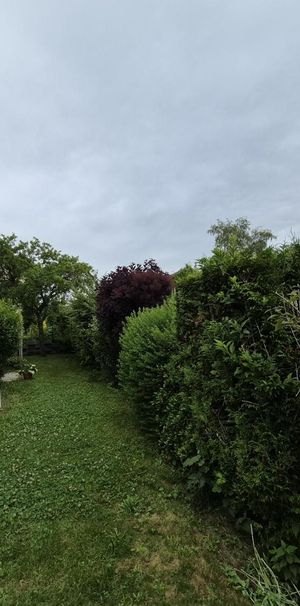 6.5 Zimmer, 186 m², EG - Photo 2