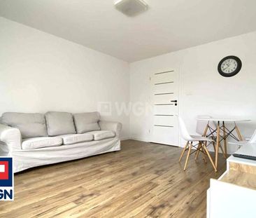 Mieszkanie na wynajem Częstochowa - Kiedrzyńska ładne M3 na wynajem - Zdjęcie 1