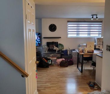 3 1/2 - Terrebonne - 1 300 $/mois - Photo 1