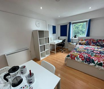 1 bedroom Flat / Apartment - Photo 6