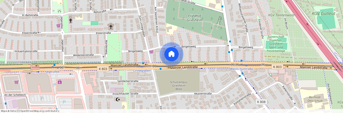 Mainzer Landstraße 580, 65933, Frankfurt Am Main