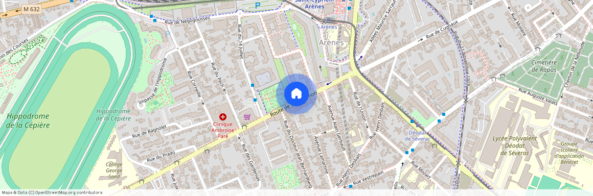 TOULOUSE - LES ARENES