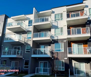 BRAND NEW 1 BED 1 BATH 1ST-FLOOR APARTMENT WITH AN ON-SITE PARKING ... - Photo 4