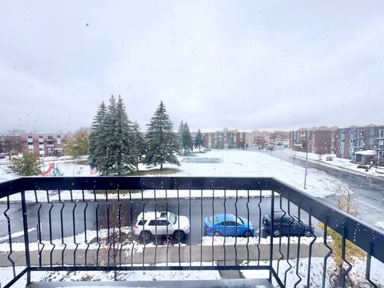 Appartement à louer - Longueuil (Le Vieux-Longueuil) (Noms de rues (P M C)) - Photo 1