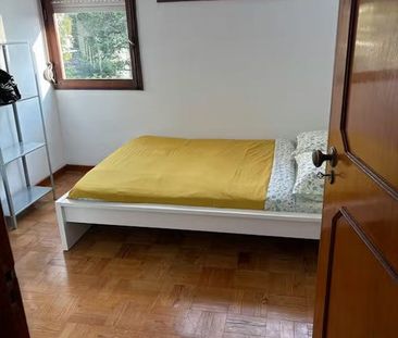 Rua Central de Francos, Porto, Braga 4250 - Photo 3