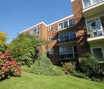 Green Lane - Photo 4