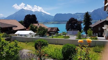 APPARTEMENT DE 2 PIÈCES À HILTERFINGEN (BE), MEUBLÉ, TEMPORAIRE - Photo 3