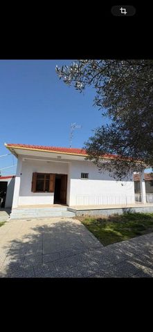 Μονοκατοικία για ενοικίαση Γαλανόβρυση (Ελασσόνα) - Φωτογραφία 4