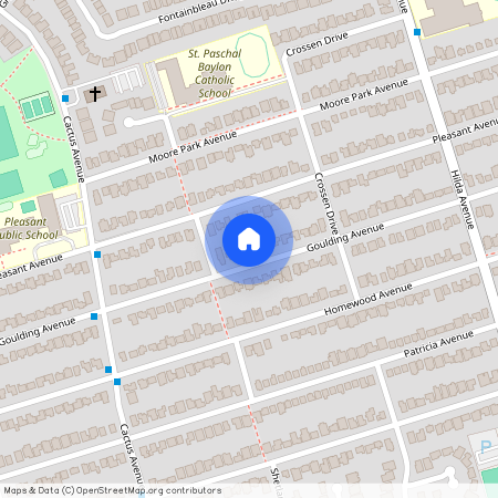 138 Goulding Avenue Unit# BSMT, Toronto