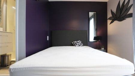 URSS Roommate 4 Bedrooms at Toulouse - Photo 3