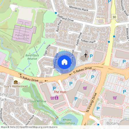 22 Spalding Rise, Golflands, Manukau City