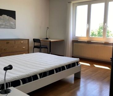 APPARTEMENT DE 2 PIÈCES À INNERBERG (BE), MEUBLÉ, TEMPORAIRE - Photo 3