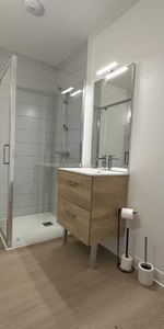 Location Appartement 1 pièce Meublé 29m² BLOIS 41000 - Photo 3