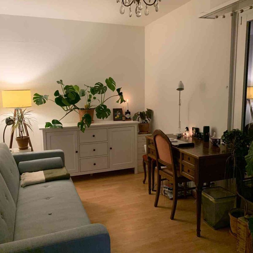 3 Zimmer, 60 m², 5. Stock - Foto 1