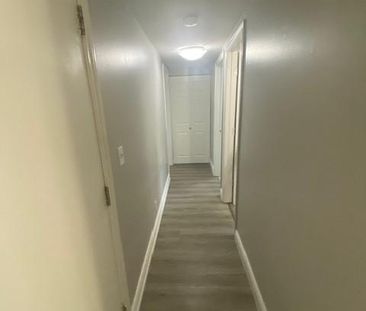 34 Greer Street Unit 2 (Lower) - 2 bed, 1 bath - Photo 6