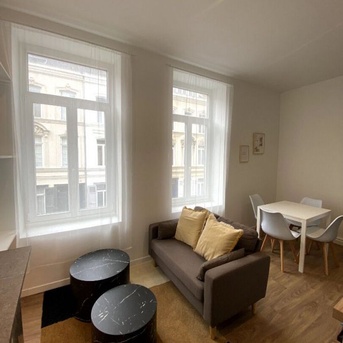 Appartement 2 pièces à Lille - Photo 1