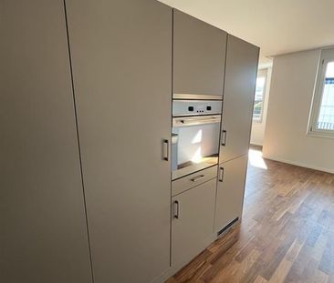 "Grössen Wahnsinnig, Grössen Wohnsinnig!" - Foto 4