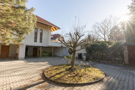 House for rent long term #36057 - Fotó 5